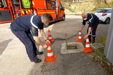 Une chouette hulotte sauvée des eaux d'évacuation par les pompiers à Tulle (Corrèze)