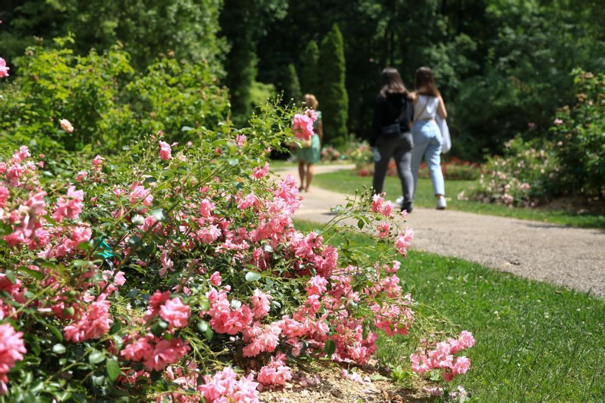 les-incontournables-en-vid-o-le-parc-du-moulin-tan-de-sens-et-ses