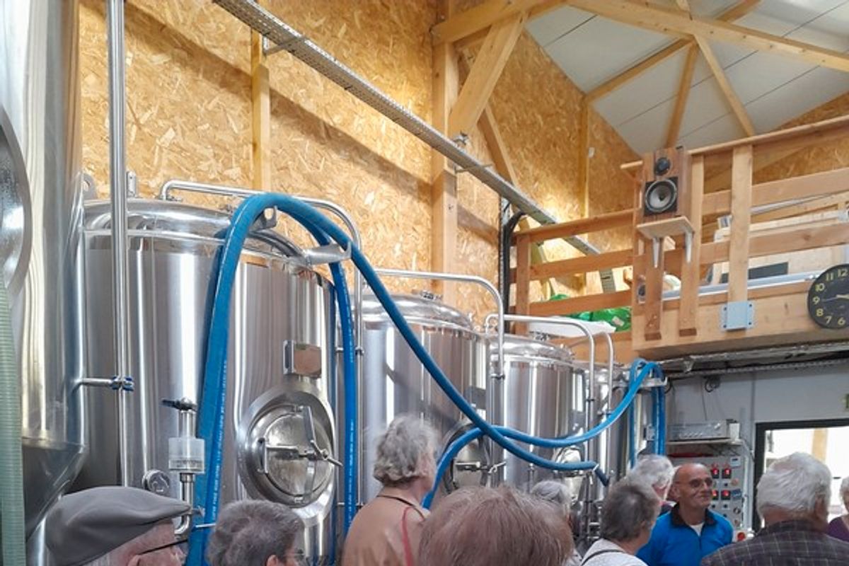 4 PLATEAUX À TACOS OVALES - 3 Compartiments, Bleu Et Jaune, Micro-ondes Safe, Parfaits Pour Soirées Ou Restaurant !