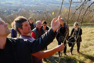 Le CEN a organisé une promenade instructive sur les techniques arboricoles ce samedi, au Vernet