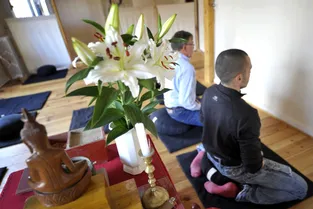 Le zen fait son retour au salon de Cébazat (Puy-de-Dôme)