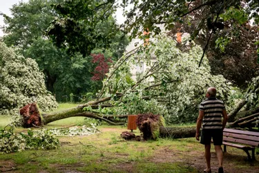 Les dégâts de l'orage du 25 mai s'élèvent à 191.400 euros pour la ville de Montluçon