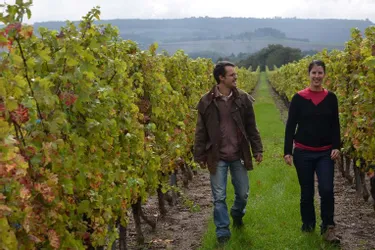 Promenade gouleyante au cœur d’un patrimoine viticole local encore bien vivant