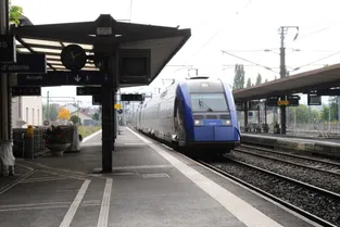 Le train Paris-Clermont percute un sanglier