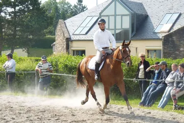 Le Cantal, terre d’élevage pour les chevaux de sport