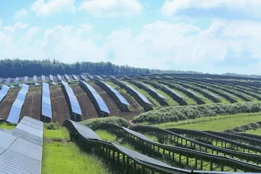 La nouvelle centrale photovoltaïque de la Forêt mise en lumière