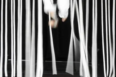 Cirque, danse et arts numériques