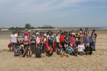Les écoliers découvrent le bassin d’Arcachon en classe de mer