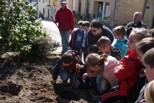 Écoliers et planteurs d’arbres