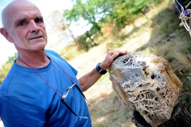 De Meillers (Allier) à la Réunion, en passant par le Congo, Stephen Durif découvre de magnifiques minéraux et fossiles