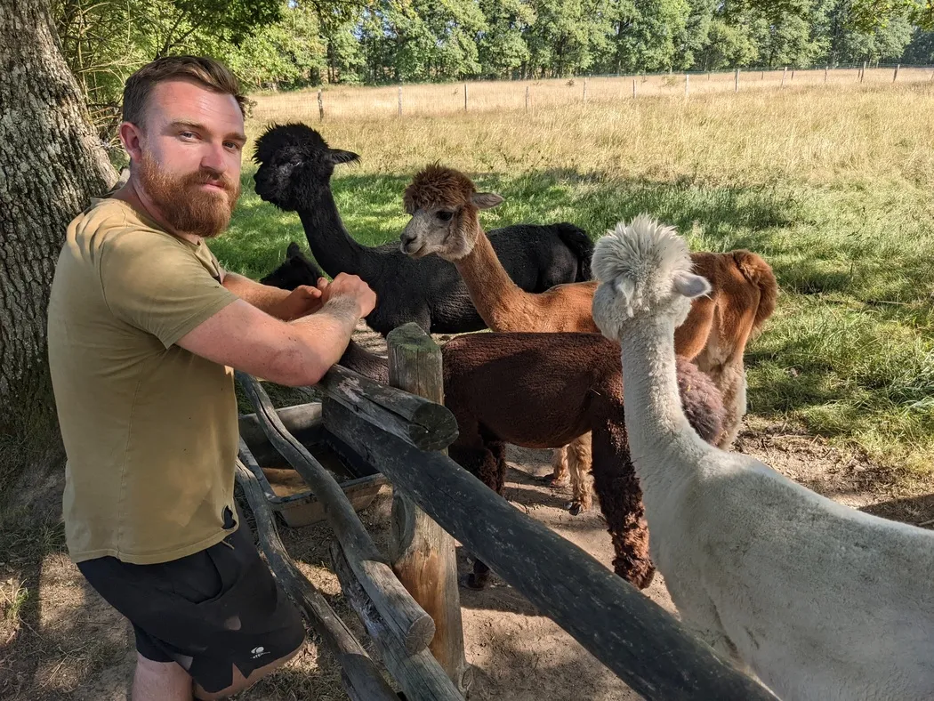 Ancienne Ferme En Bois CRÉATION NIL à Restaurer, Avec Animaux Starlux