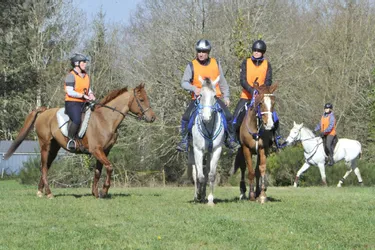 Equitation : un concours d'endurance à Givarlais (03) ce dimanche