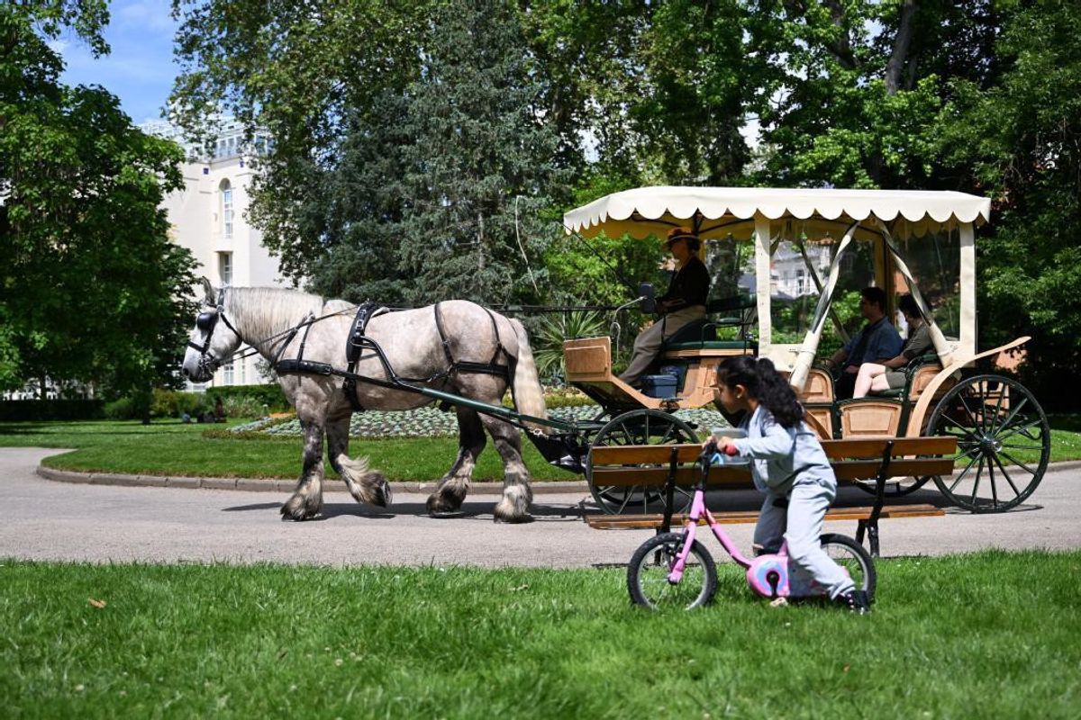 Deux calèches se percutent pendant une fête historique : une femme meurt, sept personnes hospitalisées