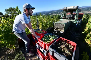 Pourquoi cette année peut être celle de la consécration pour les vins des Coteaux de la Vézère, en Corrèze