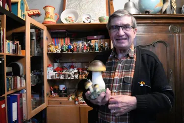 Les collectionneurs à Montluçon (Allier) : Daniel, une passion pour les champignons