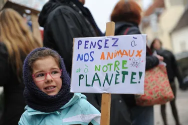 200 personnes à la Marche pour le climat à Moulins