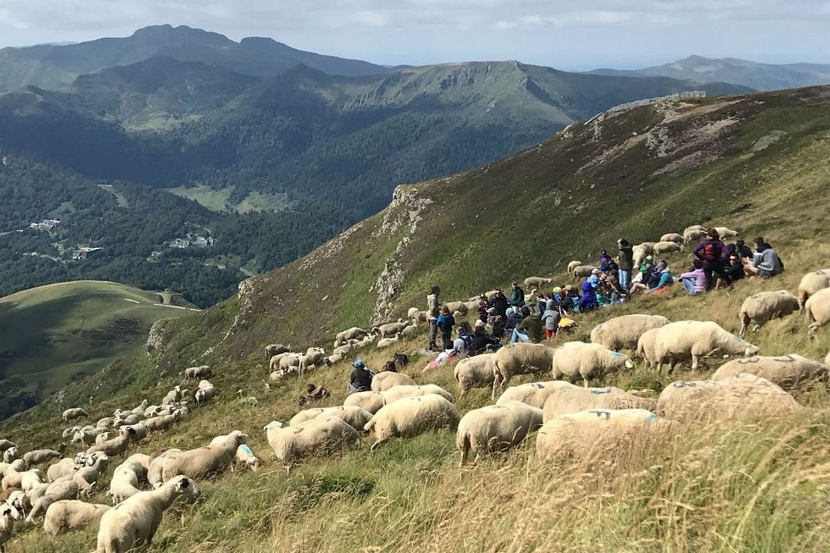 Nos 5 idées de sortie à faire ce vendredi 4 août dans le Cantal - La ...