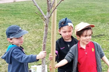 Les enfants plantent des arbres