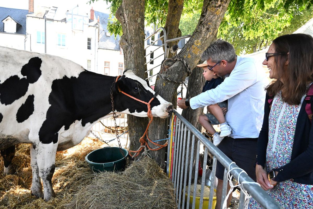 Découvrez en images l’événement Un Dimanche à la campagne qui se tient ce dimanche à Orléans