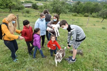À Riom (Puy-de-Dôme), la bergère Sarah Marteau ouvre une ferme pédagogique sur la colline de Mirabel