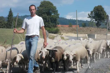 40 marcheurs, 200 moutons : une transhumance "magique" depuis le col du Béal
