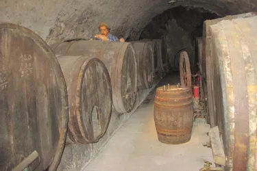 La vigne et le vin en Basse-Auvergne se visitent à Aubière