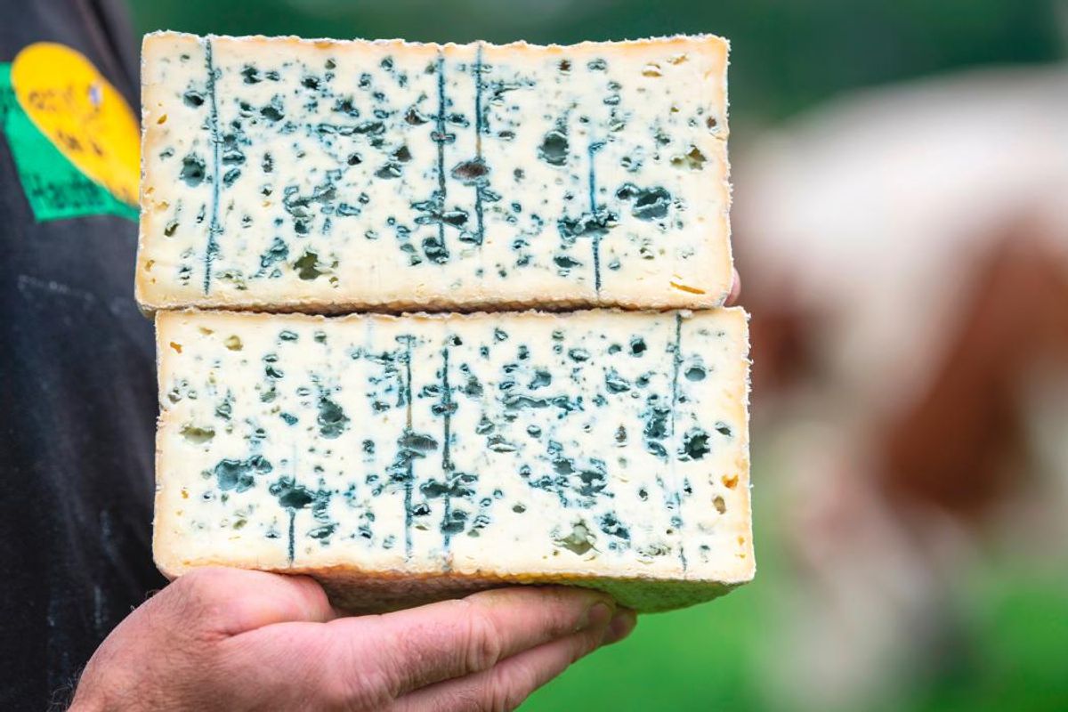Le bleu d'Auvergne à l'honneur les 17 et 18 août 2024 à Riom-ès ...