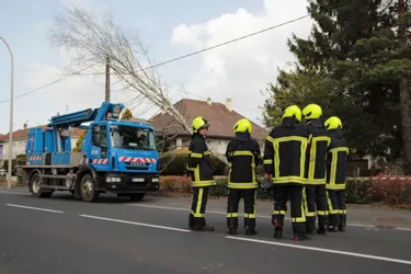 Aurillac : circulation rétablie avenue de Tronquières après la chute d'un arbre