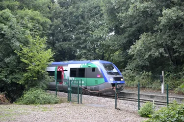 Un homme mortellement heurté par un train sur la ligne Limoges-Poitiers