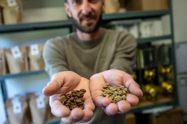 "Le café en capsules, ce n'est pas l’avenir" : dans le Puy-de-Dôme, ils se sont reconvertis dans la torréfaction