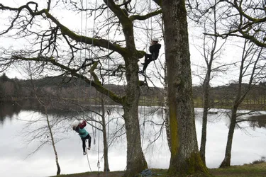 Grimper dans les arbres, un jeu d'enfants au lac de Ponty à Ussel (Corrèze)