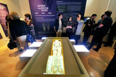 Autopsie d'une sépulture au musée Bargoin