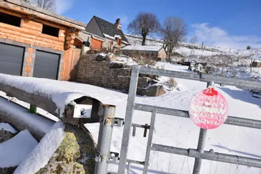 Affaire des disparus de Ségur-les-Villas (Cantal) : ce que l'on sait après la réapparition du couple