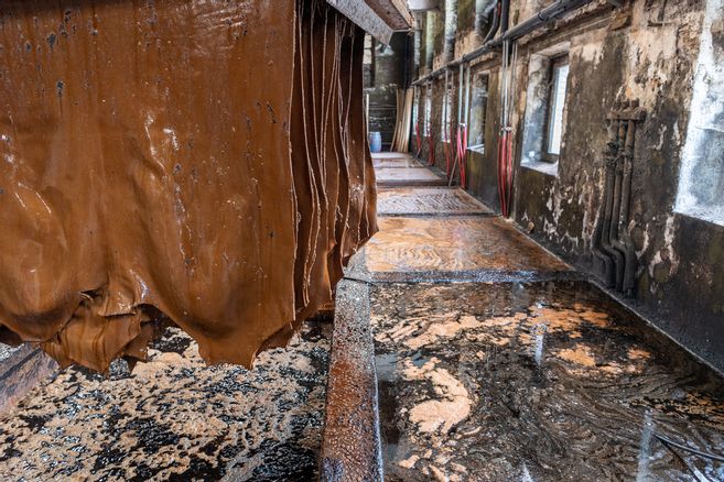 la-tannerie-bastin-a-le-savoir-faire-dans-la-peau-saint-l-onard-de