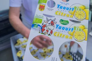 Cinq chiffres pour comprendre le succès des yaourts bio de la laiterie de la Tourette (Puy-de-Dôme)