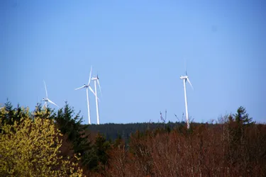 Un projet de cinq à dix éoliennes dans la forêt des Collettes à Bellenaves