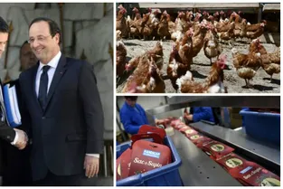 Après l'abandon de Hollande, les regards braqués sur Valls, un nouveau cas de grippe aviaire... Les cinq infos du Midi pile