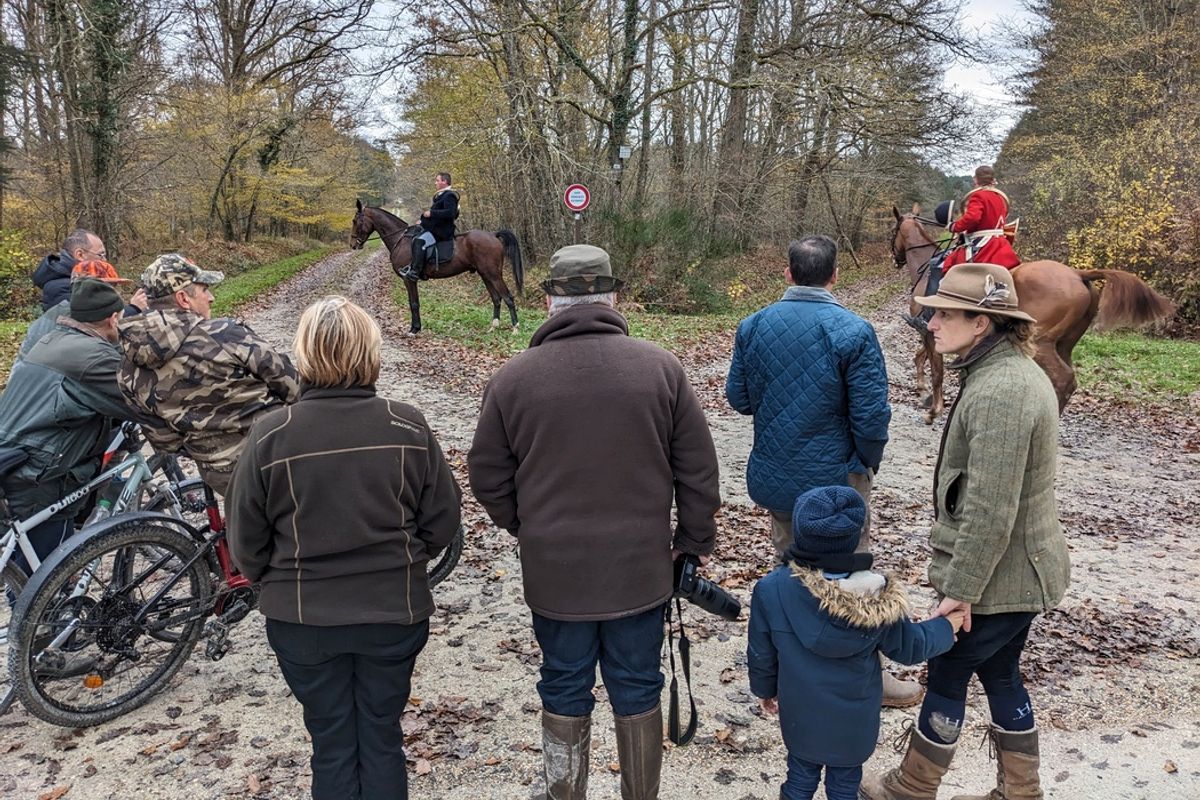 Pierre Rigaux, militant contre la chasse :