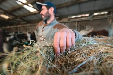 Météo : une année positive, mais inquiétante pour les agriculteurs de la Haute-Loire