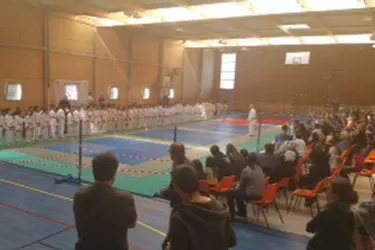 108 jeunes judokas bourbonnais réunis