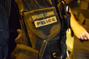 Le conducteur suspecté d'avoir renversé un policier à Volvic (Puy-de-Dôme) mis en examen pour tentative d'homicide