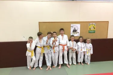 Le judo club langeadois participe à son tournoi annuel