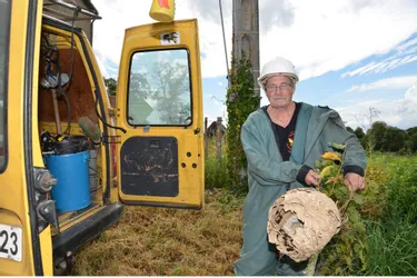 Professionnel de la désinsectisation, Serge Nadaud détruit les nids de frelons asiatiques
