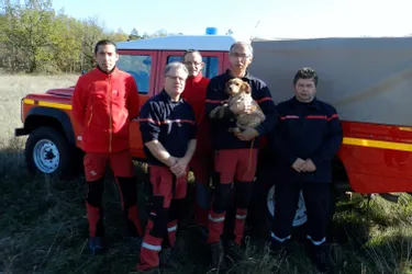 Un chien tombé dans un puits sauvé par les pompiers du Lot