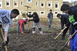Deux étudiants brivistes vont organiser les 48 heures de l’agriculture urbaine, les 21 et 22 avril