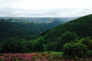 Les prochaines randonnées à faire dans le Cantal [carte]