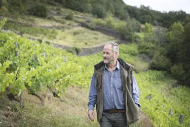 Un maigre millésime s'annonce pour le vin de Palhàs dans le Cantal