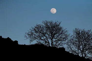 Nos plus belles images de la super Lune de ce mardi soir