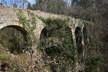 Sous les broussailles, les arches de l’aqueduc