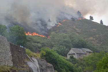 Une vingtaine d'hectares ravagée par les flammes